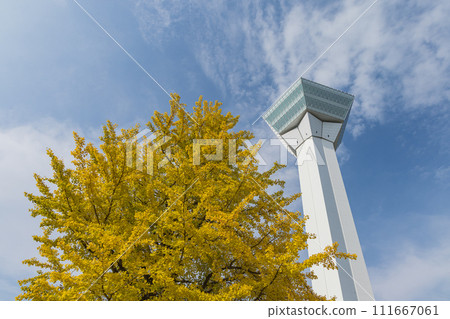 日本北海道函館的五稜郭塔與秋葉 111667061