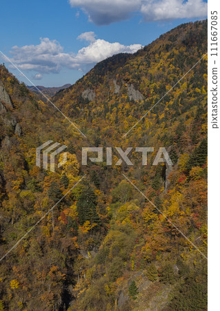 Valley and autumn leaves visible from Hoheikyo Dam in Jozankei, Minami Ward, Sapporo, Hokkaido, Japan 111667085