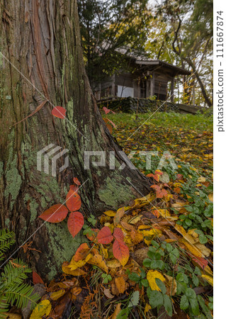 日本北海道旭川市旭山公園的旭山稻荷琴平神社與秋葉 日本北海道旭川市旭山公園的旭山稻荷琴平神社與秋葉 111667874