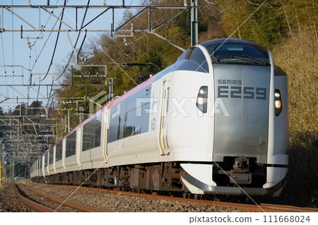 E259系列煥然一新的車輛設計 E259系列煥然一新的車輛設計 111668024