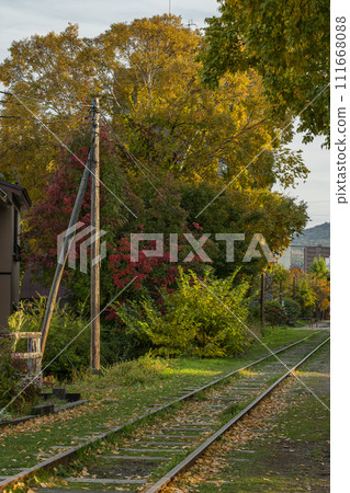 Tracks and autumn leaves at the site of the discontinued former Japanese National Railways Temiya Line in Otaru City, Hokkaido, Japan Tracks and autumn leaves at the site of the discontinued former Japanese National Railways Temiya Line in Otaru City, Hokkaido, Japan 111668088