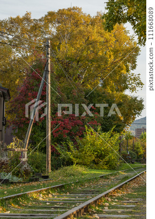 Tracks and autumn leaves at the site of the discontinued former Japanese National Railways Temiya Line in Otaru City, Hokkaido, Japan 111668089