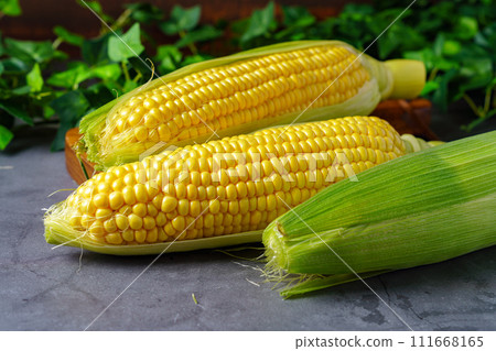 玉米 玉米 111668165