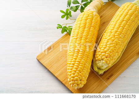玉米 111668170