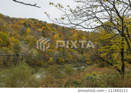 Autumn leaves and Ishikari River at Kamuikotan in Asahikawa City, Hokkaido, Japan 111668221