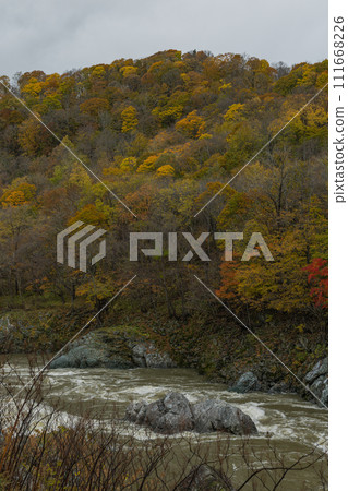 Autumn leaves and Ishikari River at Kamuikotan in Asahikawa City, Hokkaido, Japan Autumn leaves and Ishikari River at Kamuikotan in Asahikawa City, Hokkaido, Japan 111668226