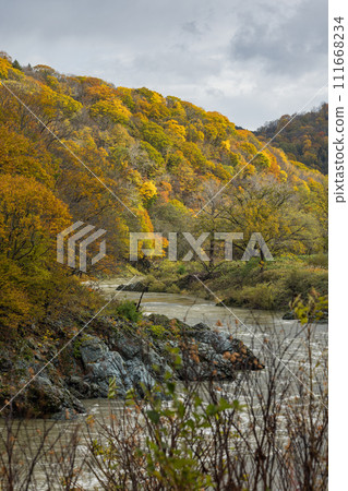 日本北海道旭川市 Kamuikotan 的秋葉和石漾河 111668234