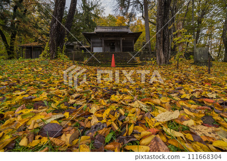 Asahiyama Inari Kotohira Shrine and autumn leaves in Asahiyama Park in Asahikawa City, Hokkaido, Japan Asahiyama Inari Kotohira Shrine and autumn leaves in Asahiyama Park in Asahikawa City, Hokkaido, Japan 111668304