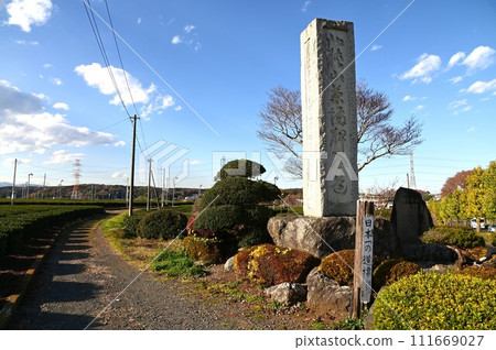 Japan's No. 1 signpost next to a tea plantation Japan's No. 1 signpost next to a tea plantation 111669027