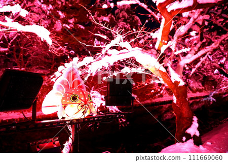 Winter illumination of cherry blossoms in Hirosaki Park, Aomori Prefecture 111669060