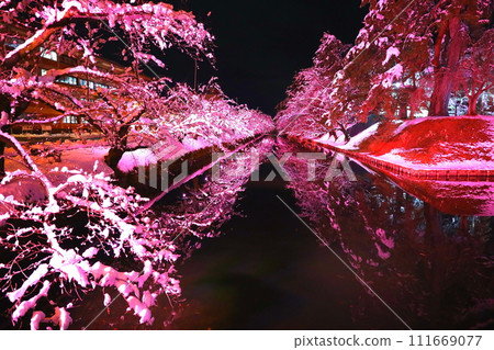 青森縣弘前公園的冬季櫻花彩燈 青森縣弘前公園的冬季櫻花彩燈 111669077