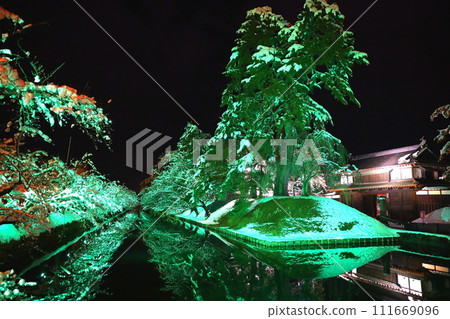 Winter illumination of cherry blossoms in Hirosaki Park, Aomori Prefecture 111669096