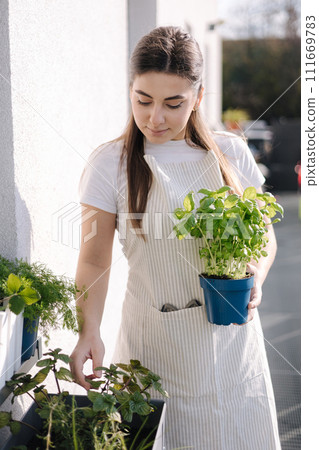 Smiled young female creating garden at balcony. Woman hold pot with dill and basil. Starting for landing 111669783