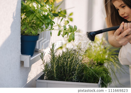 Close up of watering the plants from a watering can. Girls watering rosemary and other plants on balcony Close up of watering the plants from a watering can. Girls watering rosemary and other plants on balcony 111669823