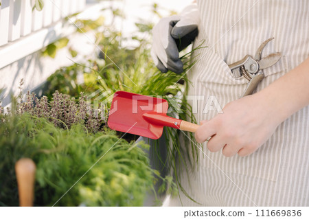 Side view of human hand hold red shovel. Using garden tools for landing 111669836