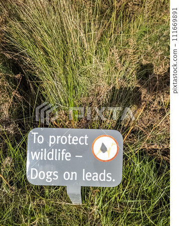 Please keep your dog on a lead information to protect wildlife Please keep your dog on a lead information to protect wildlife 111669891