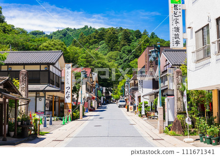 Mt. Takao表參道 111671341