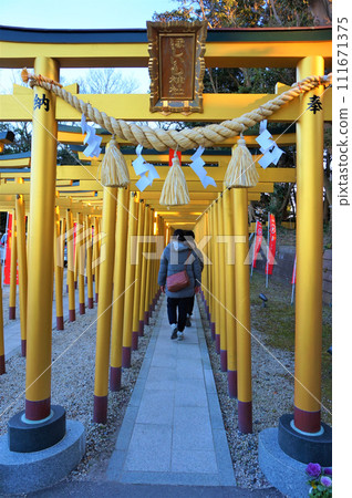 Hoishimo Shrine Golden Torii Precincts Horide Shrine Hoishimo Shrine Golden Torii Precincts Horide Shrine 111671375