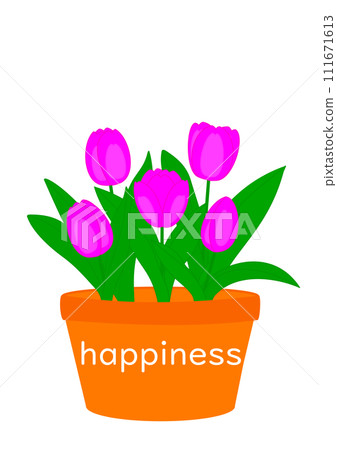 happiness flowerpot pink tulips 111671613