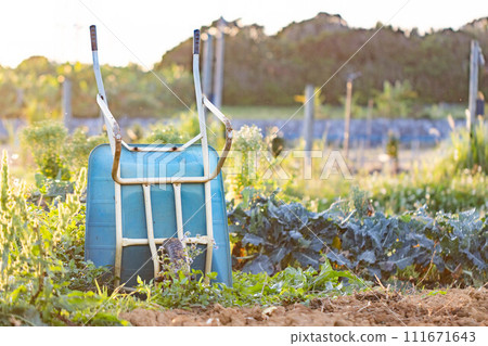 A wheelbarrow in the field A wheelbarrow in the field 111671643