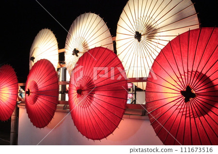 日本紅傘 日本紅傘 111673516