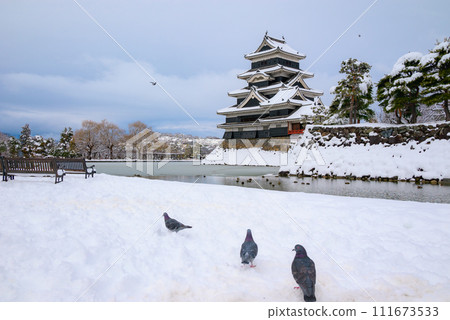 Matsumoto Castle and pigeons in the snow Matsumoto Castle and pigeons in the snow 111673533