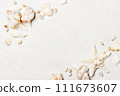 Background with various seashells on white table 111673607