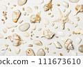 Pattern of various seashells on white background 111673610