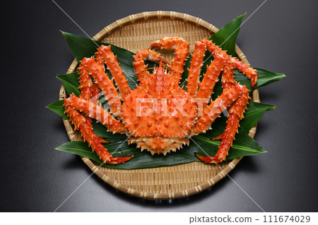 Boiled crab-bug 111674029