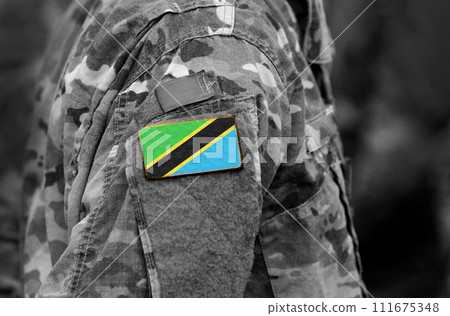 Flag of Tanzania on soldiers arm. Tanzania flag on military uniform. Army, troops, military, Africa (collage). 111675348