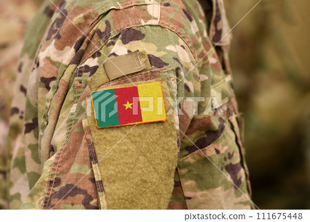 Cameroon flag on soldiers arm. Republic of Cameroon troops (collage) Cameroon flag on soldiers arm. Republic of Cameroon troops (collage) 111675448