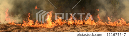 wildfire, forest fire, burning forest wildfire, forest fire, burning forest 111675547