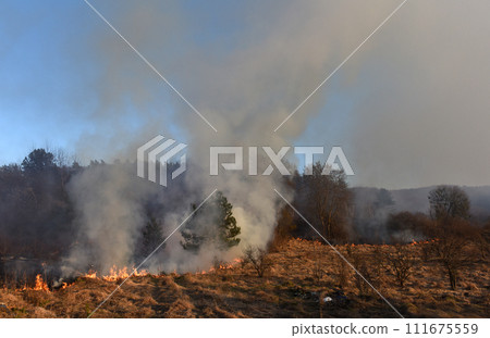 wildfire, forest fire, burning forest 111675559