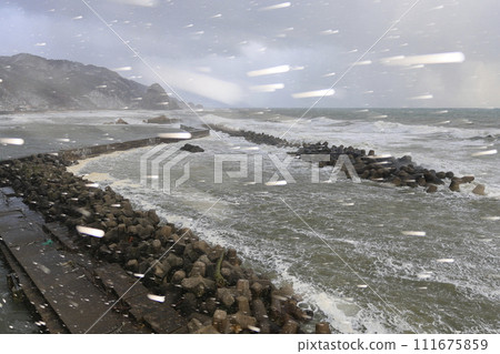 The Sea of Japan in winter with dancing snow and flowers The Sea of Japan in winter with dancing snow and flowers 111675859