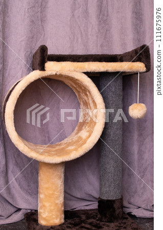 Playground for cats in the house closeup 111675976