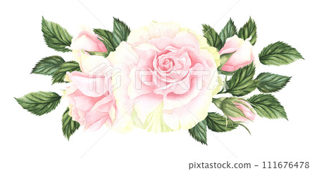 Pastel watercolor pink and white roses, buds and leaves . Hand drawn illustration branch of flowers isolated on white background. Cute composition for wedding or bouquet for greeting card. 111676478