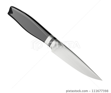 Paring knife. 3D rendering Paring knife. 3D rendering 111677398