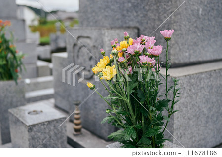 flowers placed on a grave 111678186