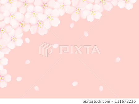 Cherry Blossom Cherry Blossom 111678230