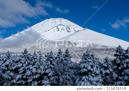 從水塚公園看到新雪的富士山和森林 111678559