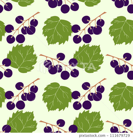Black currant seamless pattern. Collection of berries. Vector illustration of berries for design menus, recipes and packages product. 111679729