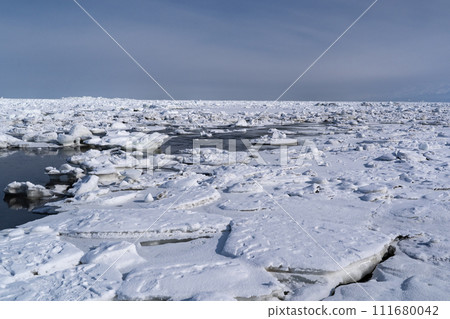 生品原始花園的流冰 111680042