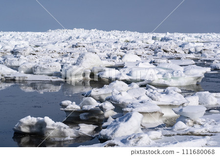 Drift ice at Ikushina Primeval Flower Garden 111680068