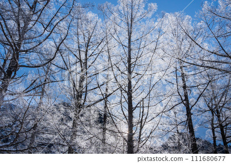 冬季上高地雪地遠足 111680677