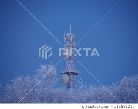 Radio tower and trees covered in hoarfrost just before dawn 111681253