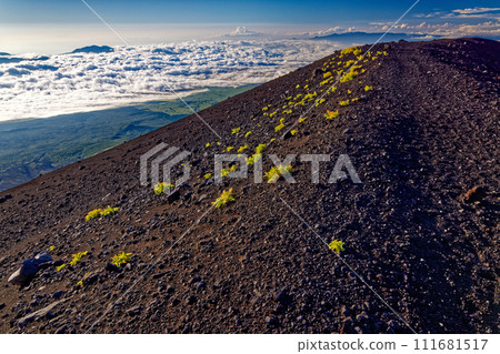Morning view of Hakone and Izu mountains from Mt. Fuji and Mt. Hoei ridgeline Morning view of Hakone and Izu mountains from Mt. Fuji and Mt. Hoei ridgeline 111681517