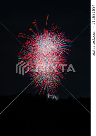 Japan's summer tradition: Fireworks (Kumagaya Fireworks Festival) Japan's summer tradition: Fireworks (Kumagaya Fireworks Festival) 111681654