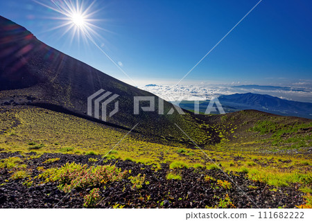 Japanese knotweed blooms on Mt. Fuji and the mountains of Mt. Ashitaka, Hakone, and Izu from the Hoei crater 111682222