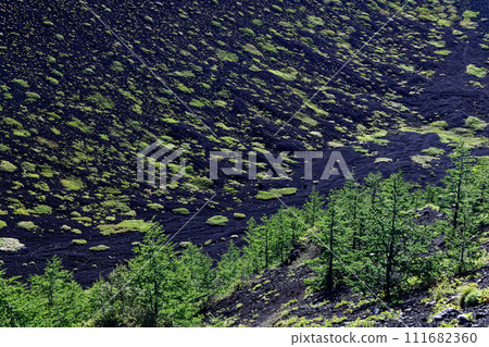 Greenery of Mt. Fuji and Hoei crater in summer 111682360