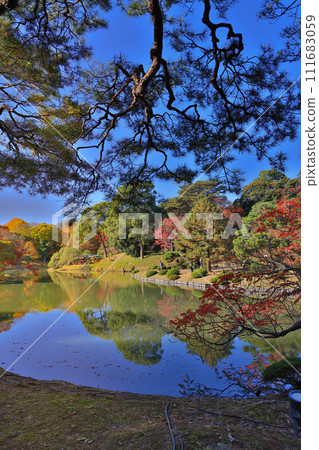 Colorful autumn trees reflecting in calm lake water Nov 29 2023 111683059